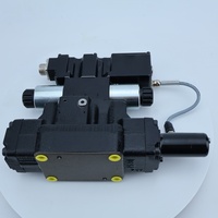 Vanne pilote proportionnelle Lainuo D41 D41FB D31 D31FB Vanne solénoïde hydraulique en stock D41FTE01FC4NF00 Mise à niveau D41FBE01FC4NF00