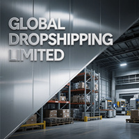 Services Professionnels d'Agent Maritime pour Petits Colis UPS DHL Logistique E-commerce Service Express Aérien depuis le Dropshipping Chine