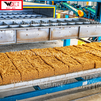 Usine de transformation du caoutchouc automatisée de nouvelle génération de Zhanjiang Weida, machines d'usine intelligente pour la production de TSR/RSS/crepe