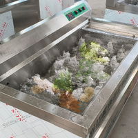 Volledig Automatische Keuken Vortex Groentewasmachine Commerciële Multifunctionele Wasmachine