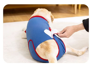 Großhandel Winter Protective Pet Bodysuit Chirurgische Erholungs weste für Katzen und Hunde mit Anti-Licking-<span class=keywords><strong>Shirt</strong></span> für Bauch wunden - Product Image 4