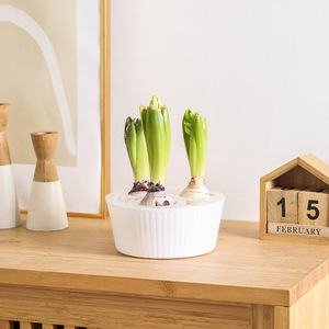 P372 Pot <span class=keywords><strong>de</strong></span> fleurs hydroponique moderne et simple à cinq trous en plastique pour bulbes <span class=keywords><strong>de</strong></span> tulipes, idéal pour les personnes paresseuses, spécial pour les graines <span class=keywords><strong>de</strong></span> jacinthe et <span class=keywords><strong>de</strong></span> narcisse - Product Image 6