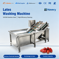 Dadelpalm-wasmachine, dadelpoetsmachine
