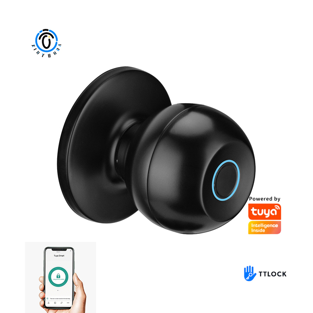 Home Smart Door Knob Tuya Biometric Fingerprint Door Knob Wireless Smart Door Lock
