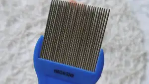 Manico in plastica Scanalato In Acciaio Inox Lungo Denti Pulizia Dei Capelli Umani <span class=keywords><strong>Pidocchi</strong></span> Nit Tick Delle Pulci <span class=keywords><strong>Pidocchi</strong></span> Pettine - Product Image 2