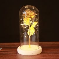 Fleur artificielle conservée galaxie lumière rouge bleue 24K or Led Rose lampe Rose en dôme de verre pour cadeau de saint-valentin mère