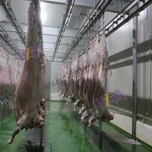 Chăn nuôi cừu Lò mổ thiết bị Lamb carcass giết mổ dây chuyền chế biến máy cho dê butcher máy móc - Product Image 5