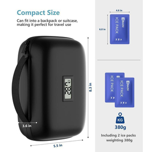 Sac de rangement isotherme portable avec logo personnalisé, mini-conteneur organisateur pour la maison, les voyages et le transport quotidien - Product Image 4