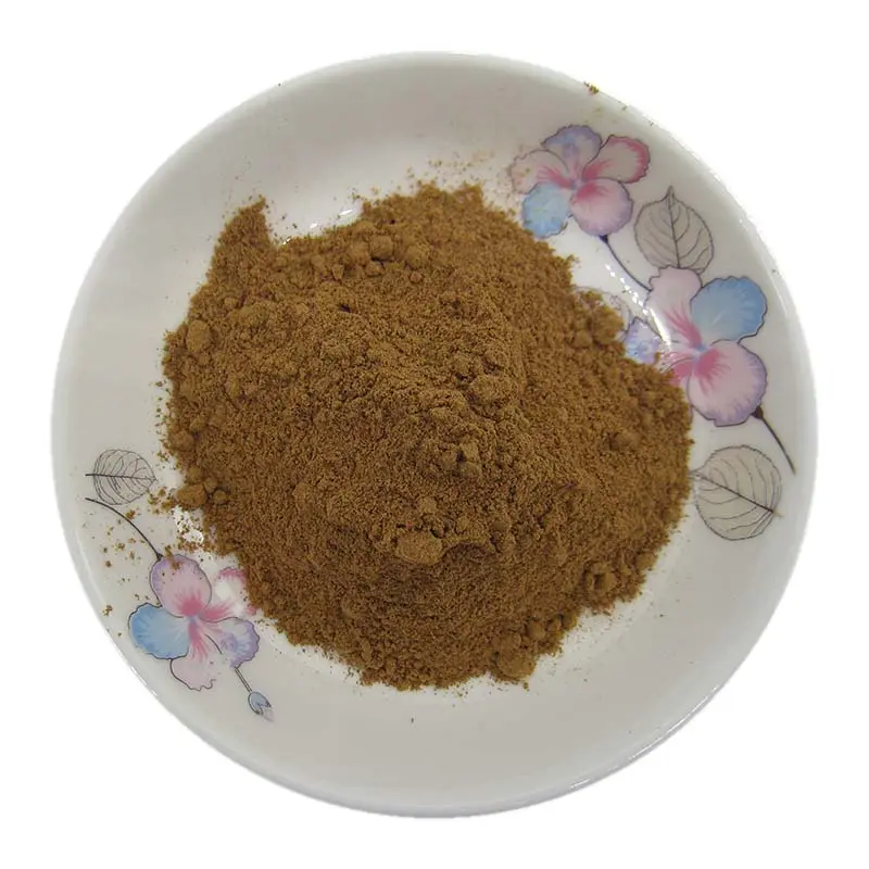 Natural Ziziphus Jujube Powder High Quality Jujube Juice Powder