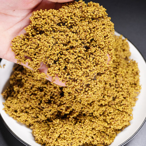 Polvo de algas finas, polvo de medusas, 500g, para cebo granular de pesca de carpa en agua dulce - Product Image 3