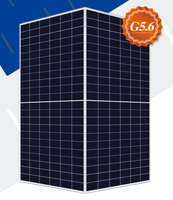 Panneau solaire Risen 650-670W Module bifacial RSM132-8-650BMDG-670BMDG 1500VDC de haute qualité module PV