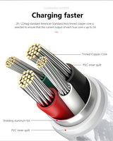 Kabel Pengisian Daya USB 3-in-1 Berbahan Nilon dengan Logo Kustom LED Menyala, Pengisian Cepat 2A untuk IOS, Komputer, Printer (Tembaga Murni)