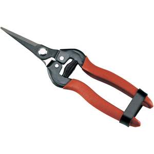 AUSONIA 19 cm Hoja de acero inoxidable Cocina Comida Hierba Tijeras con mango de plástico para uso en exteriores - Product Image 2