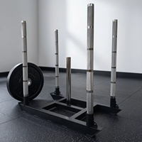 Fitstyle Fitness Carrosse de résistance mécanique professionnel en métal avec système de traction et ensemble d'haltères unisexe