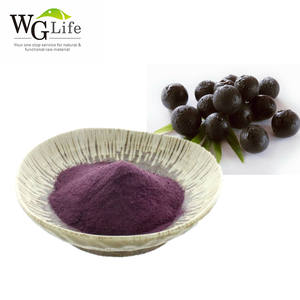 アントシアニン25% Acaiベリーエキス天然フルーツジュースパウダー美容ドリンク用ハーブエキスドラム - Product Image 5