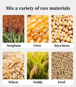 Mezcladora Horizontal <span class=keywords><strong>de</strong></span> Alimentación Rápida LITRE para Ganado, Ovejas y Pollos, Capacidad <span class=keywords><strong>de</strong></span> 500-3000 kg/h, 380V, Nueva - Product Image 2