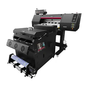 DISEN PET Transfer Film XP600 Dual 2 Printhead Digital Printing Machine A3 30cm 60cm DTF Printer With Powder Shaking Dryer