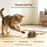 Jouet interactif pour chat, jouet en peluche couineur pour stimuler l'instinct de chasse, idéal pour le jeu d'intérieur, résistant aux griffures et aux morsures, cadeau pour animaux de compagnie
