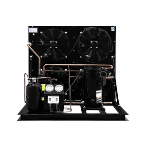6HP Middle&High Temp. Semi-Hermetic Compressor Unit, Compressor: Copeland-ZB45KQ /Air Cooled Condensing Unit