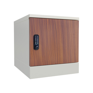 Classeur à porte en verre Casier à colis Stockage documentaire de bureau Assemblage de sécurité Casier de bureau avec serrure numérique