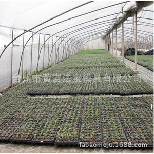 Nursery <b>Trays</b> Rectangle <b>Plastic</b> Mold Injection With Drainage Hole For Seedling Growing - Product Image 2