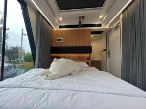 Capsule spatiale de 5,8 m, 8,5 m, 11,5 m, maison modulaire mobile <span class=keywords><strong>écologique</strong></span> d'extérieur, maison capsule préfabriquée de luxe - Product Image 6