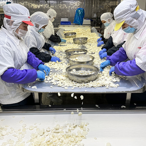 Tranches et noyaux de châtaignes d'eau surgelées IQF de qualité supérieure, certifiées BRC HALAL, vente en gros de châtaignes d'eau croustillantes pour la transformation alimentaire - Product Image 3