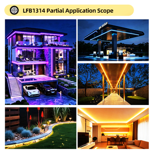 ไฟ LED แบบยืดหยุ่นซิลิโคนกันน้ำ IP65 รุ่น LFB1314-1 แบบกำหนดเอง OEM ODM DC 24V RGB สำหรับใช้ภายในและภายนอกอาคาร - Product Image 2