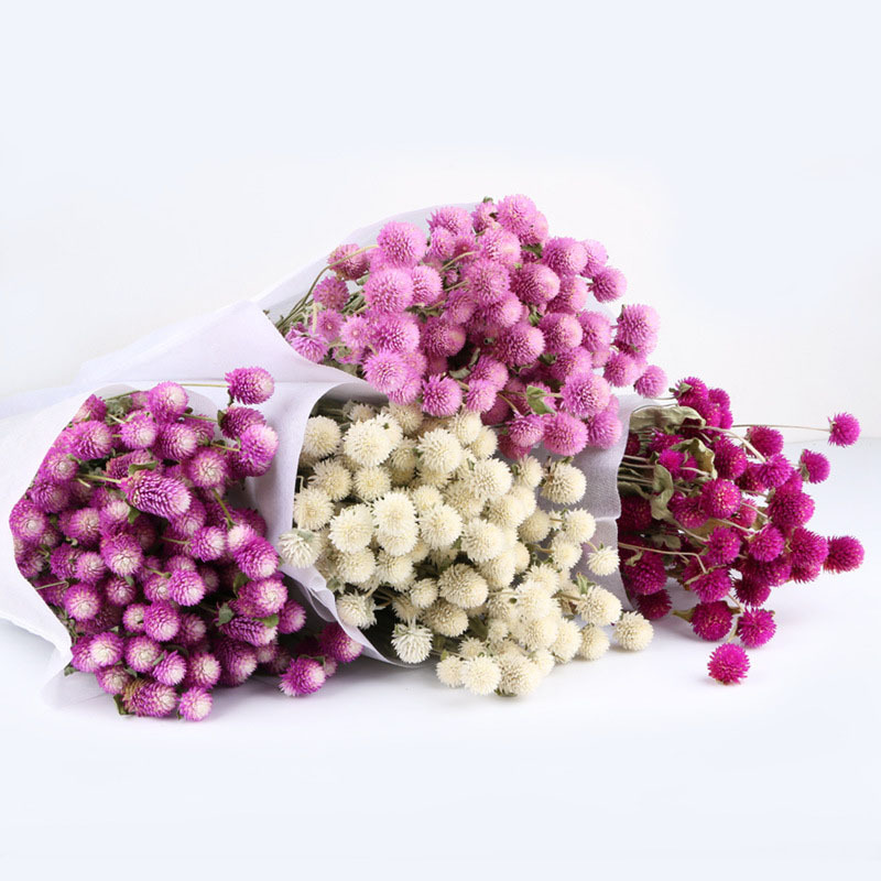 Manufacturers Wholesale Home Decoration Limonium Lemon