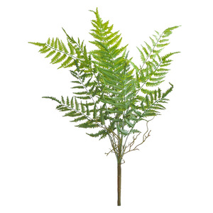 ของตกแต่งบ้าน ต้นไม้ประดิษฐ์ ใบ<span class=keywords><strong>เฟิร์น</strong></span>ยางนิ่มหลายกิ่ง ของตกแต่งดอกไม้ DIY ขายส่งต้นไม้ประดิษฐ์ - Product Image 5