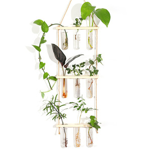 Wall Mounted Glass Hydroponic Test Tubes Wooden Rack Hanging Plant Container For Green Plants Bamboo Frame Geometric Design - Product Image 5