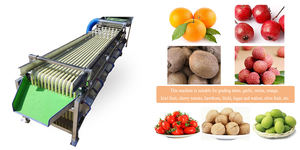 Clasificador de frutas, clasificador de dátiles, máquina clasificadora de kiwi, tomate Roma, clasificador automático comercial de cerezas - Product Image 4