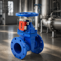 Vanne à opercule manuelle OEM ODM en fonte ductile à opercule souple, avec siège élastique et tige montante, 100 mm