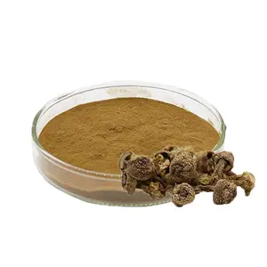 Blazei Murill Abm Paddestoel Extract Polysacchariden