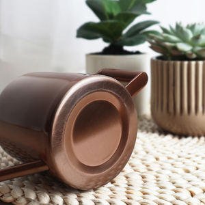 300 मिलीलीटर बगीचे उपकरण पानी के फूल स्टेनलेस स्टील सैटिन धातु प्राचीन तांबे मिनी पानी कर सकते हैं - Product Image 6