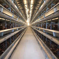 Nouveau système de cages en batterie automatiques de type H pour poulets pondeuses, pour usage commercial, galvanisé à chaud