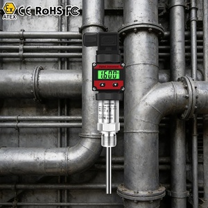 Termómetro Digital RTD, Medidor de Temperatura Digital RTD, Transmisor de Temperatura RTD PT100 4-20 <span class=keywords><strong>mA</strong></span> - Product Image 1