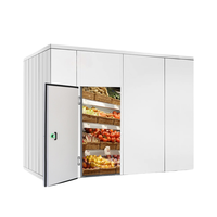 Chambre froide portable pour fermes, à déploiement rapide, congélateur mobile, motorisé, alimenté à l'énergie solaire, télécommandé, Daikin