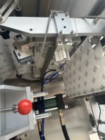 Empaquetadora automática de doble bolsa absorbente para carne