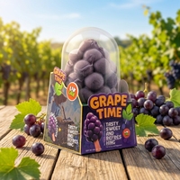 Crème glacée aux raisins LIKLAK3D, saveur riche en raisins, onctueuse et non grasse, rafraîchissante et sucrée, 75 g par pièce, 12 pièces par boîte