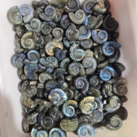 Vente en gros de pierres de guérison en cristal naturel de haute qualité, sculptées à la main, créatives, en labradorite et ammonite fossile, pour la décoration