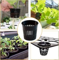 Panier de plantation en filet pour chaque carton Système hydroponique Panier de plantation en plastique sans sol