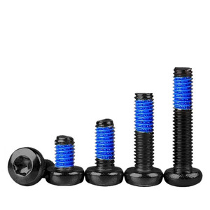 Vis de machine Torx à tête cylindrique en acier au carbone de qualité industrielle, oxydée noire, avec joint Nylok, directement de l'usine - Product Image 5