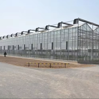 Serre à travées multiples de type Venlo-Grande serre transparente en verre trempé pour la culture commerciale de légumes/agricoles