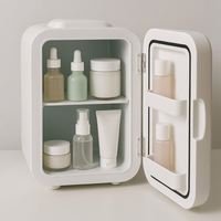 Mini-réfrigérateur portable compact à LED pour cosmétiques et soins de la peau, avec fonction de refroidissement, pour chambre, maison et cuisine