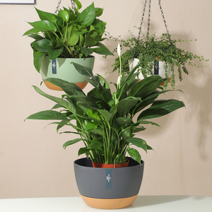 Pots <span class=keywords><strong>de</strong></span> fleurs suspendus directs d'usine 3 tailles Pots <span class=keywords><strong>de</strong></span> jardin minimalistes et jardinières Pot <span class=keywords><strong>de</strong></span> fleur en plastique à arrosage automatique solide et Durable - Product Image 3