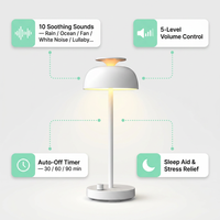 Haut-parleur diffuseur de sons apaisants avec 10 sons blancs intégrés, 5 niveaux de volume, minuteur 30/60/90 min, rechargeable par USB, à poser sur table
