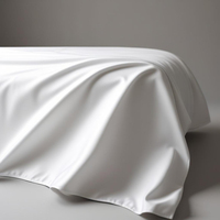 Vente en gros de draps de lit modernes en microfibre OEKO-TEX, ensemble de drap-housse et taie d'oreiller tissés doux et respirants