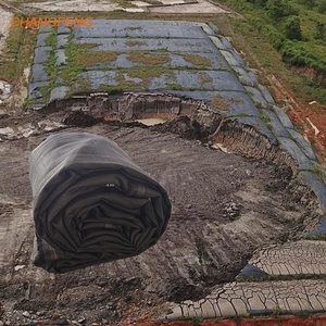 높은 끈기 800g/sqm 찢어짐 방지 지오 백 소수 PP 강둑의 침식 방지를 위한 짠 지오텍스타일 지오 튜브 - Product Image 2