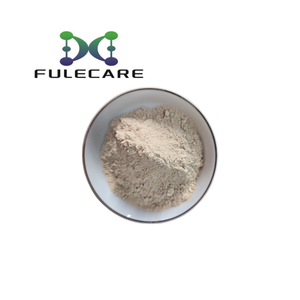 Estratto di radice di Taro 100% dolce solubile in acqua di alta qualità in polvere - Product Image 2